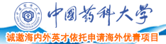 免费操逼视频\中国药科大学诚邀海内外英才依托申请海外优青项目